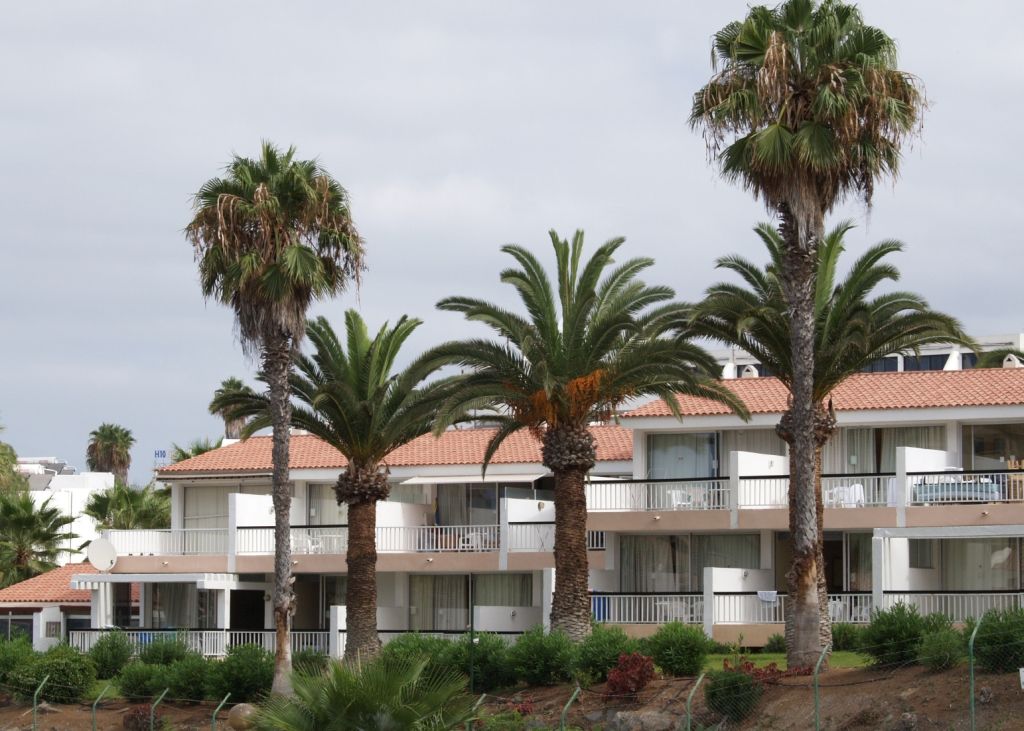 Apartamentos Paradero Playa de las Americas  Exterior photo